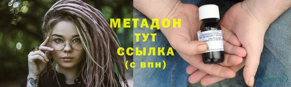 прущие грибы Лабытнанги