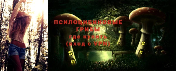 соль ск Лагань