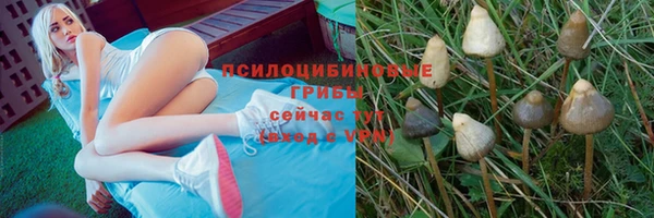 кокаин колумбия Ладушкин