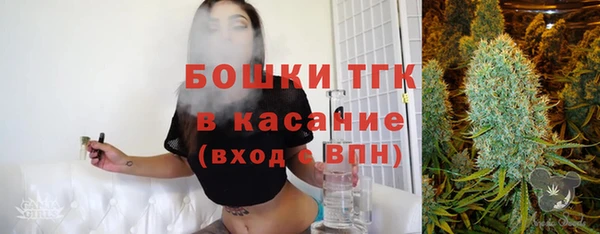 соль ск Лагань