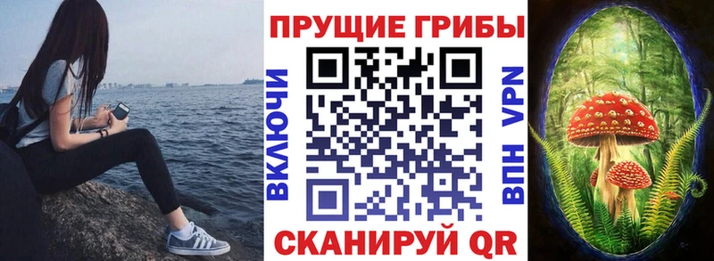 Псилоцибиновые грибы Psilocybine cubensis  ОМГ ОМГ ССЫЛКА  Яхрома  хочу наркоту 